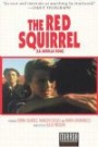 The Red Squirrel